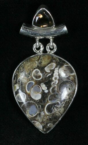 Fossil Turritella (Gastropod) Pendant - Sterling Silver #22642
